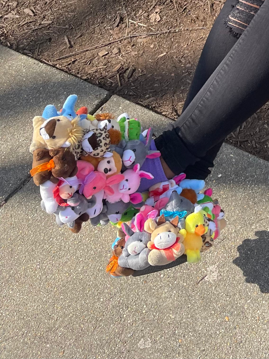 Teddy Bear Shoes