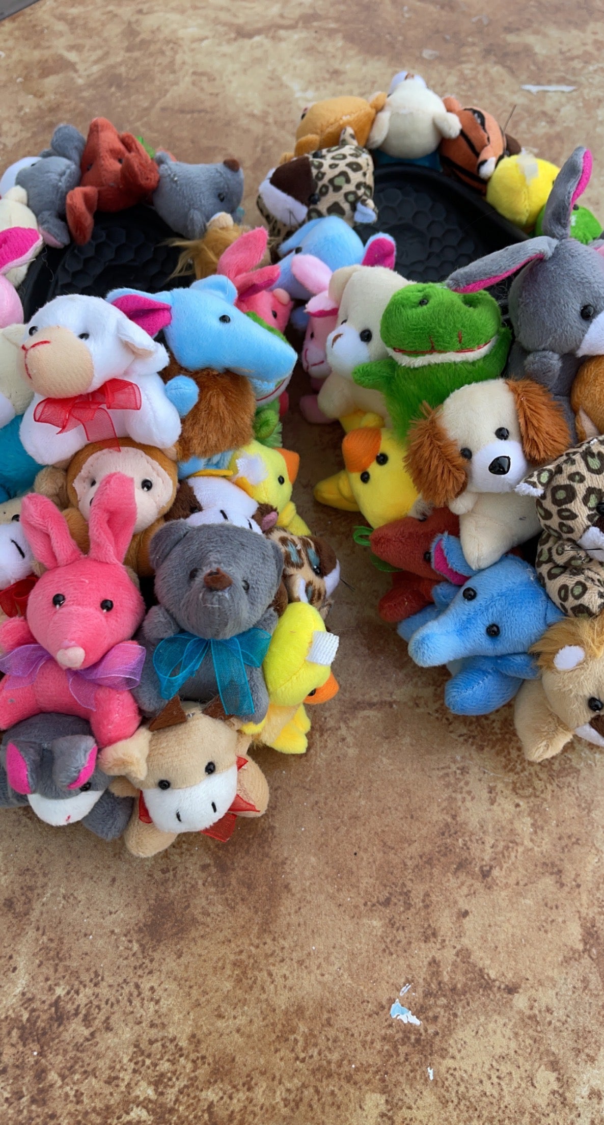 Teddy Bear Shoes