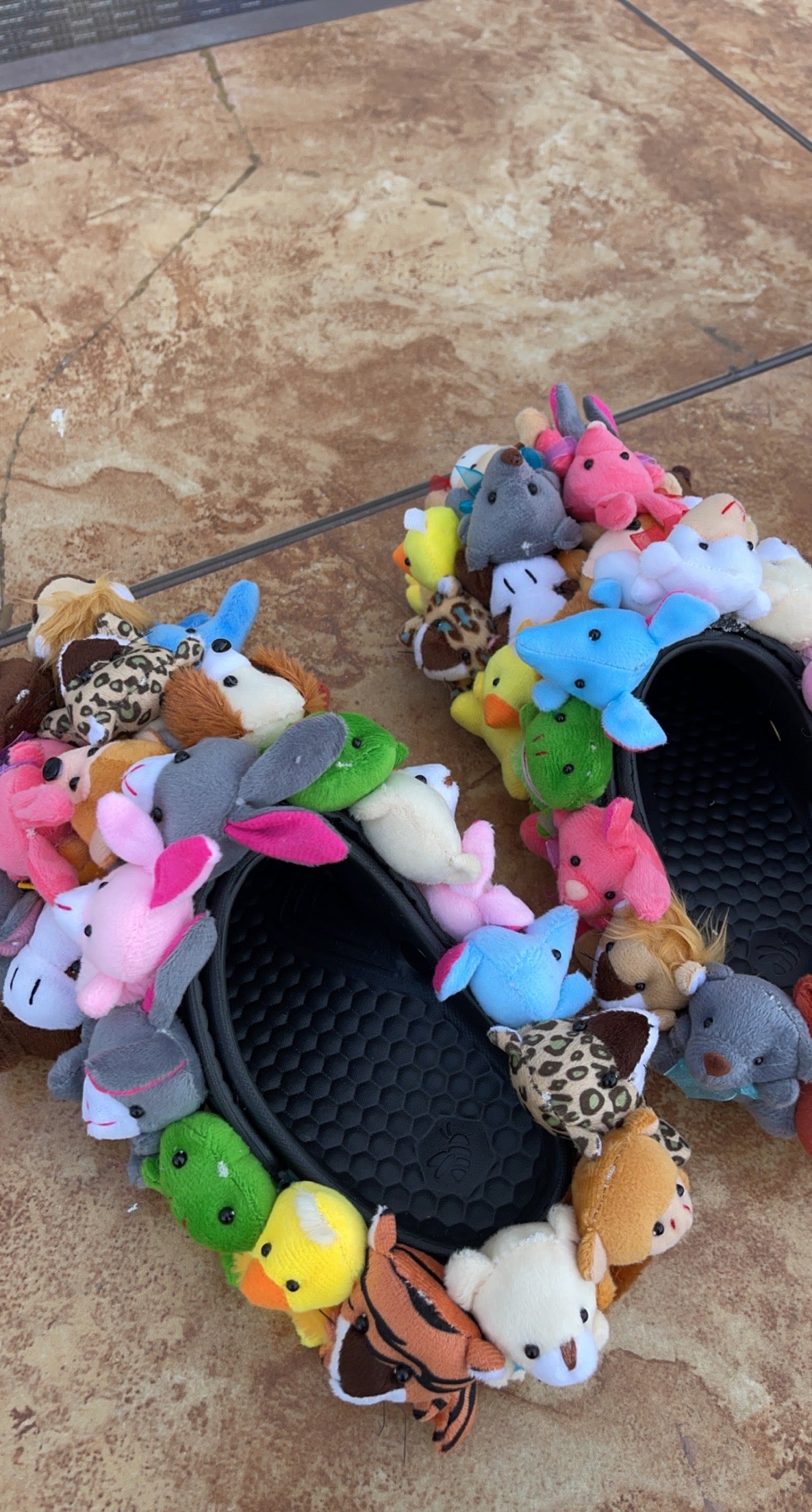 Teddy Bear Shoes